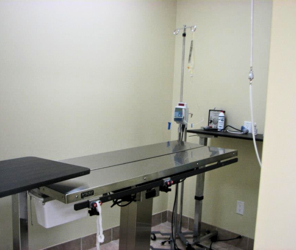 Erin Folk Animal Hospital examination table