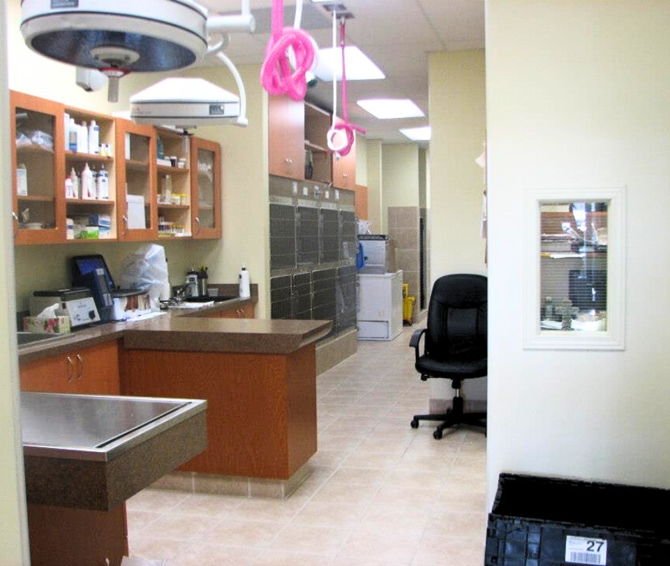 Erin Folk Animal Hospital Interior