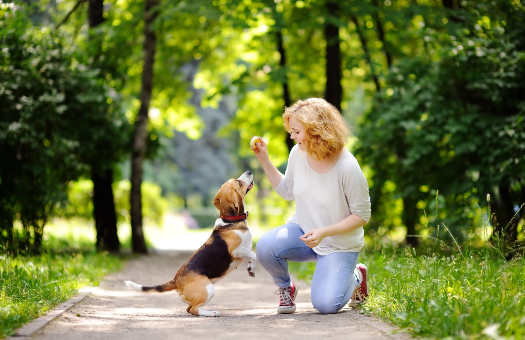 A person kneeling and offering a treat